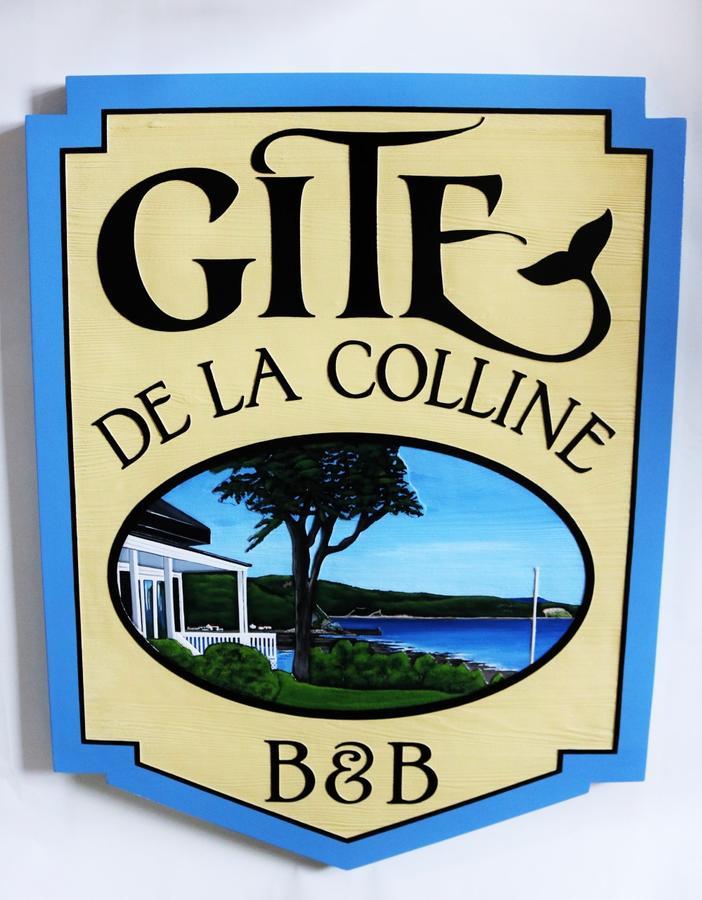 Gite De La Colline Baie-Sainte-Catherine Εξωτερικό φωτογραφία